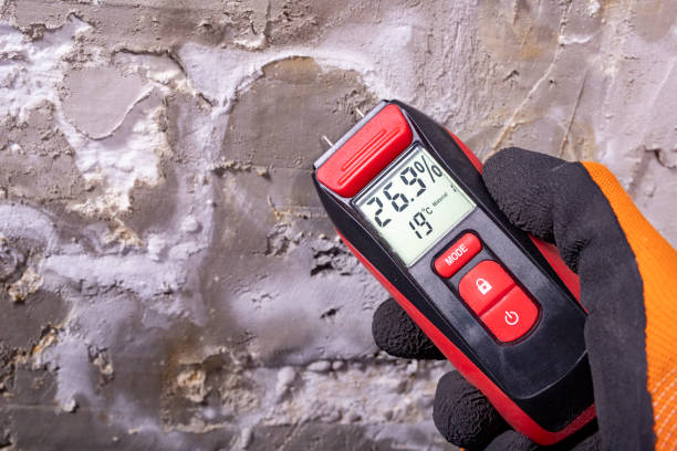 Best Industrial Mold Remediation in Big Bear City, CA