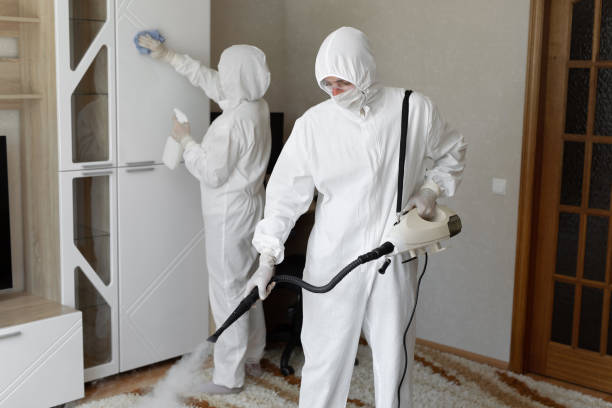 Best Post-Flood Mold Remediation in Big Bear City, CA