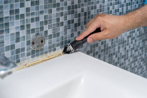 Best Post-Remediation Services in Big Bear City, CA